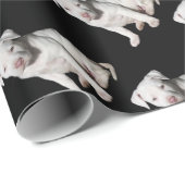 Papier Cadeau Chiot blanc de Pitbull de bébé (Coin rond)