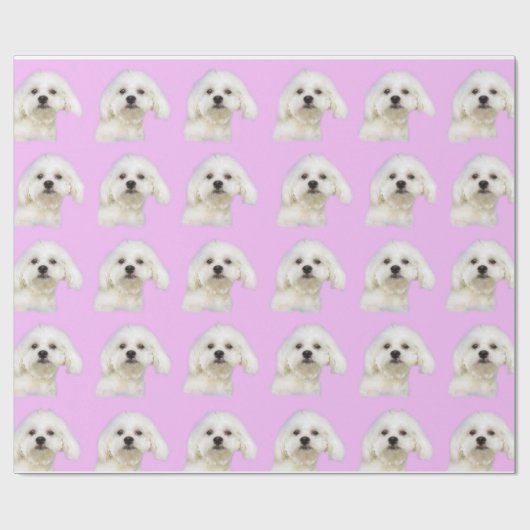 Papier Cadeau Chiot blanc #Maltese (Plat)