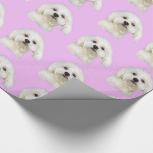 Papier Cadeau Chiot blanc #Maltese (Coin)