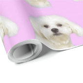 Papier Cadeau Chiot blanc #Maltese (Coin rond)