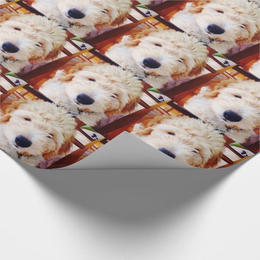 Papier Cadeau Chiot de Goldendoodle (Coin)