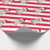 Papier Cadeau Chiot Golden Retriever sur les rayures (Coin)