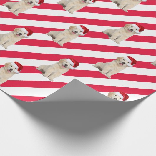 Papier Cadeau Chiot Golden Retriever sur les rayures (Coin)