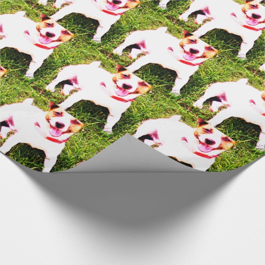 Papier Cadeau chiot, Jack Daniels (Coin)