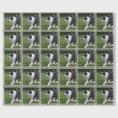 Papier Cadeau Chiot mignon de border collie (Plat)
