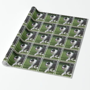 Papier Cadeau Chiot mignon de border collie
