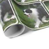 Papier Cadeau Chiot mignon de border collie (Coin rond)