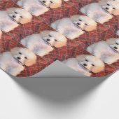 Papier Cadeau Chiot pelucheux blanc de caniche de jouet (Coin)