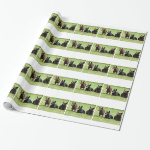 Papier Cadeau Chiots australiens de Kelpie
