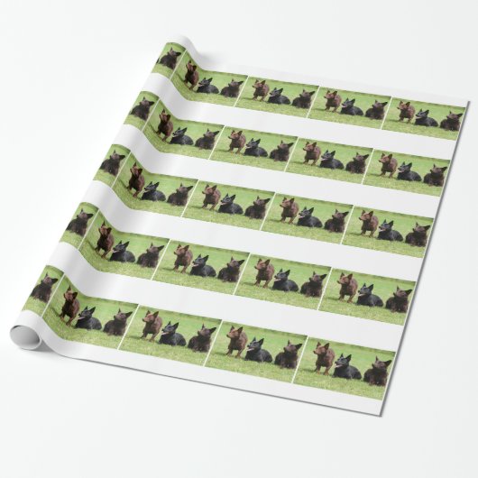 Papier Cadeau Chiots australiens de Kelpie (Déroulé)