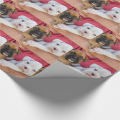 Papier Cadeau Chiots de boxeur (Coin)