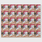 Papier Cadeau Chiots de boxeur (Plat)