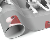 Papier Cadeau Chiots de Noël Boston Terrier (Coin rond)