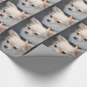 Papier Cadeau Chiwawa (Coin)