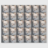 Papier Cadeau Chiwawa (Plat)