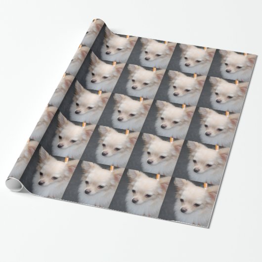 Papier Cadeau Chiwawa (Déroulé)