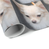 Papier Cadeau Chiwawa (Coin rond)
