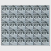 Papier Cadeau Chiwawa sous les illustrations originales (Plat)