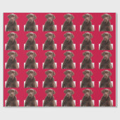 Papier Cadeau Chocolat Arrière - plan rouge de vacances Chien de (Plat)