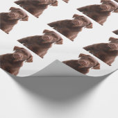 Papier Cadeau Chocolat Lab Chien Chien Chien Chien Chien Photo A (Coin)