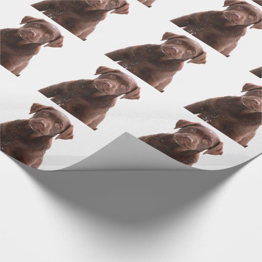 Papier Cadeau Chocolat Lab Chien Chien Chien Chien Chien Photo A (Coin)