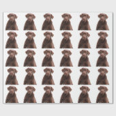 Papier Cadeau Chocolat Lab Chien Chien Chien Chien Chien Photo A (Plat)