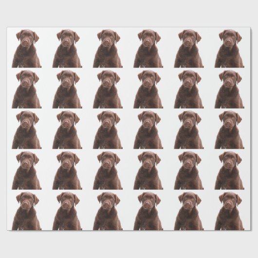 Papier Cadeau Chocolat Lab Chien Chien Chien Chien Chien Photo A (Plat)