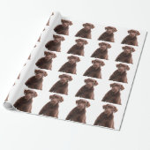 Papier Cadeau Chocolat Lab Chien Chien Chien Chien Chien Photo A (Déroulé)