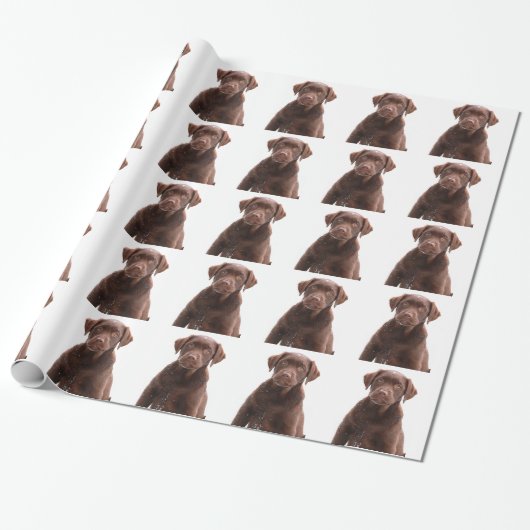 Papier Cadeau Chocolat Lab Chien Chien Chien Chien Chien Photo A (Déroulé)