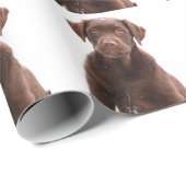 Papier Cadeau Chocolat Lab Chien Chien Chien Chien Chien Photo A (Coin rond)