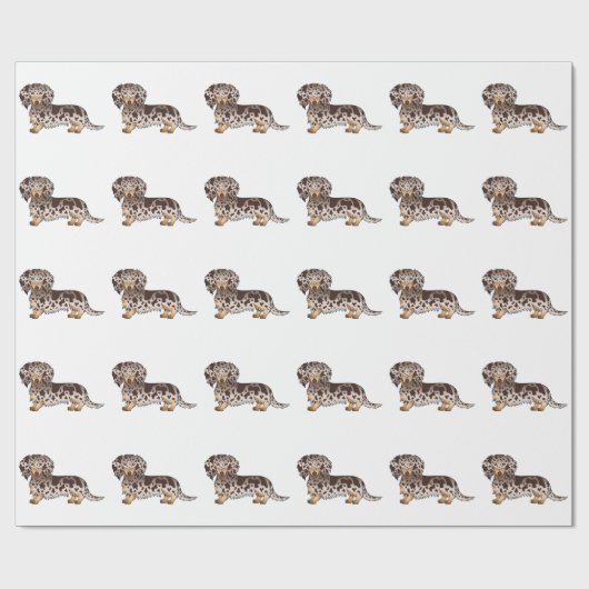 Papier Cadeau Chocolat & Tan Dapper cheveux longs Motif (Plat)