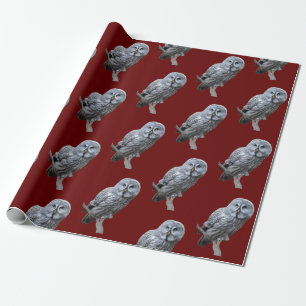 Papier Cadeau Chouette grise
