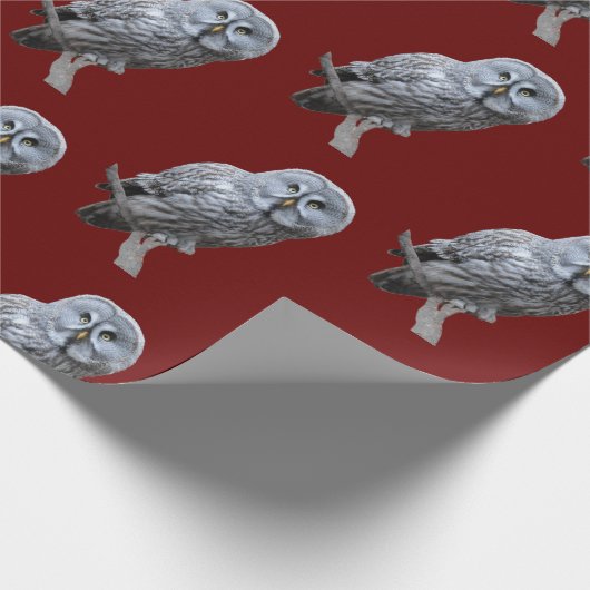 Papier Cadeau Chouette grise (Coin)