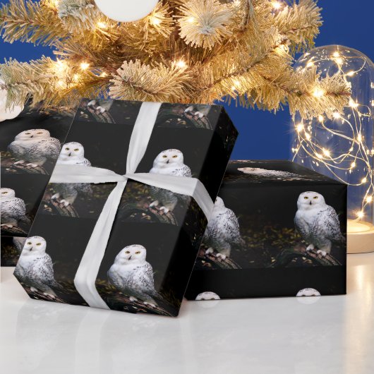 Papier Cadeau Chouette hivernale majestueuse (Vacances)
