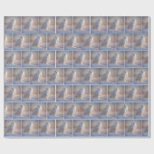 Papier Cadeau Chouette Neige En Neige (Plat)