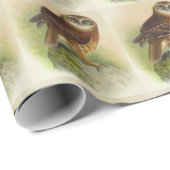 Papier Cadeau Chouette vintage (Coin rond)