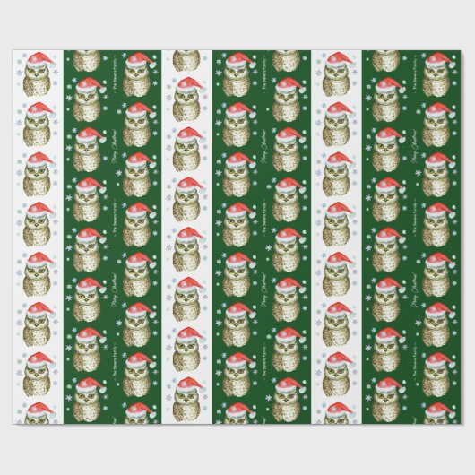 Papier Cadeau Chouettes en Santa Hats Motif de Noël, Vert (Plat)