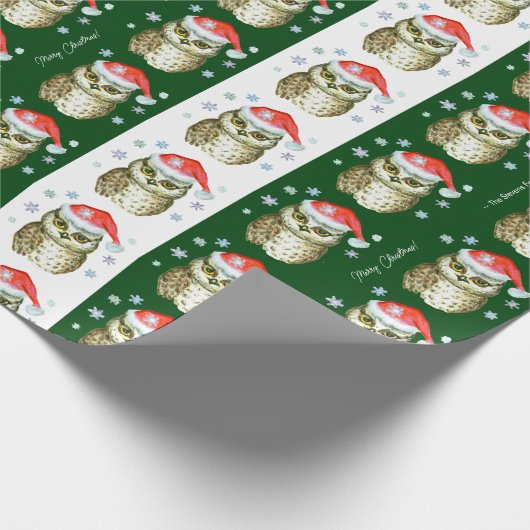 Papier Cadeau Chouettes en Santa Hats Motif de Noël, Vert (Coin)