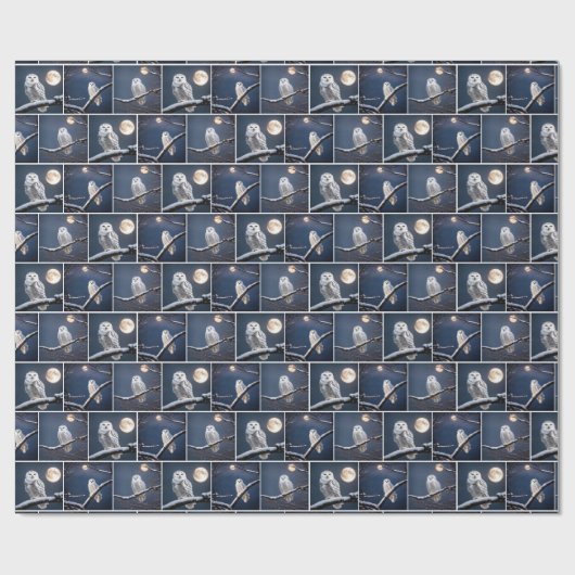 Papier Cadeau Chouettes Neiges Sur Branches D'Arbre (Plat)