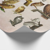 Papier Cadeau Chouettes Vintages Oiseaux Animaux sauvages Collag (Coin)