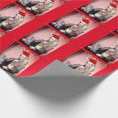 PAPIER CADEAU CHRISTMAS CAT ABRAHAM LINCOLN CHATS PAPIER À LA CA (Coin)