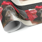 Papier Cadeau Christmas german shorthred pointer (Coin rond)