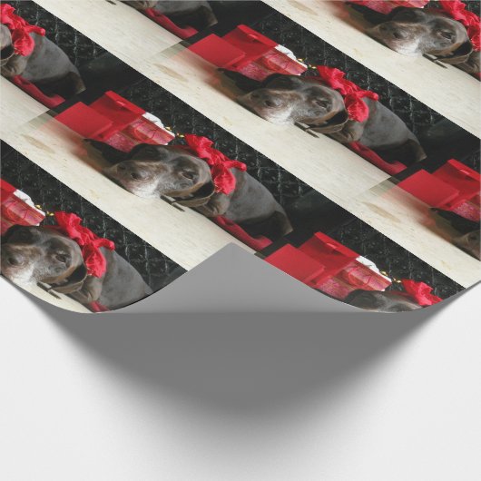 Papier Cadeau Christmas german shorthred pointer (Coin)