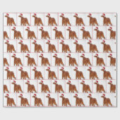 Papier Cadeau Christmas Irish Setter (Plat)