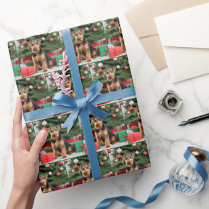 Papier Cadeau Christmas Welsh Terrier Avec Cadeaux