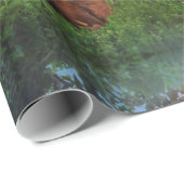 Papier Cadeau Ciel de poulet (Coin rond)