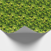 Papier Cadeau Cilantro / Coriander Feuilles (Coin)