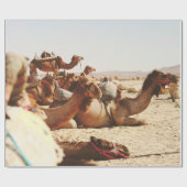 PAPIER CADEAU CINQ CAMELS SUR LE TERRAIN (Plat)