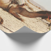 PAPIER CADEAU CINQ CAMELS SUR LE TERRAIN (Coin)