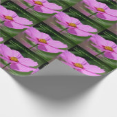 Papier Cadeau Citation Dreams Cosmos Flower Inspirational (Coin)